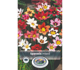 Sparaxis Mixed Tricolor (Paquet de 20 bulbes)