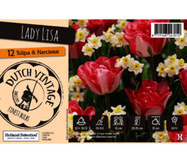 Tulipe et Narcisse Lady Lisa (Mélange Dutch Vintage) (Paquet de 12 bulbes)