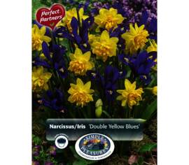 Narcisse et Iris Double Yellow Blues (Mélange Perfect Partners) (Paquet de 14 bulbes)