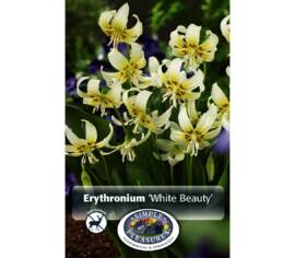 Erythronium White Beauty (Paquet de 4 bulbes)