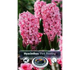 Jacinthe Pink Frosting (Fondant) (Paquet de 5) (taille : 15/16 cm)