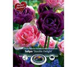Tulipe Double Delight (Mélange Perfect Partners) (Zone : 3) (Paquet de 16) (taille : 12 cm et +)