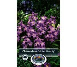 Chionodoxa Luciliae Violet Beauty (15 par sac) (taille : 5/+ cm)
