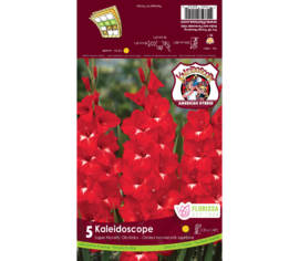 Glaïeul Kaleidoscope (Rouge et blanc) (Paquet de 5)