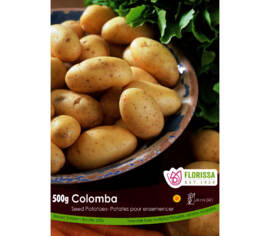 Pomme de terre Colomba (Peau et chair jaune) (Paquet de 2 kg)