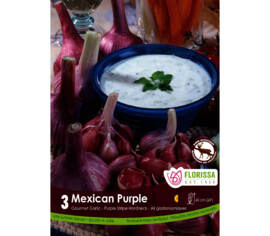 Ail Mexican Purple (Purple Stripe) (Hardneck - Porcelaine) (Zone : 2) (Paquet de 3 bulbes)