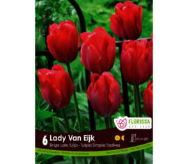 Tulipe Lady Van Eijk (Simple tardive) (Zone : 3) (Paquet de 6 bulbes)