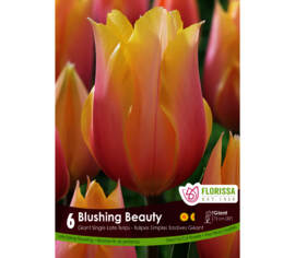 Tulipe Blushing Beauty (Géante) (Simple tardive) (Zone : 3) (Paquet de 6)
