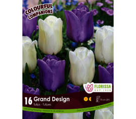 Tulipe Grand Design - Tulip Blue Aimable & City of Vancouver (Tardive) (Colourful Companions) (Zone : 3) (Paquet de 16 bulbes)