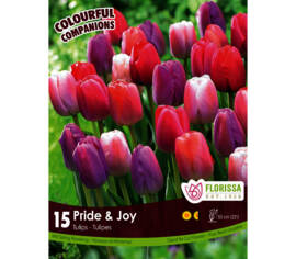 Tulipe Pride & Joy - Pride Apricot, Pride Orange, Pride Purple, Pride Pink, Pride Red (Tardive) (Colourful Companions) (Zone : 3) (Paquet de 15 bulbes