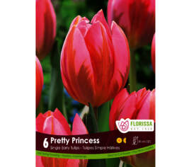 Tulipe Pretty Princess (Irene Pink) (Simple hâtive) (Zone : 3) (Paquet de 6 bulbes)