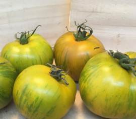 Tomate Verte Green Zebra Biologique (Semences)