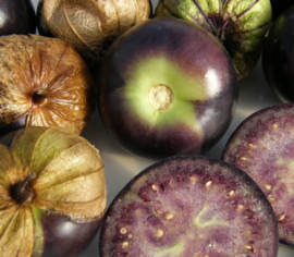 Tomatillo Purple Biologique (Semences)