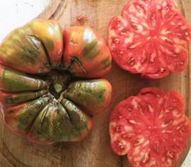Tomate beefsteak Adelin Morin Biologique (Semences)