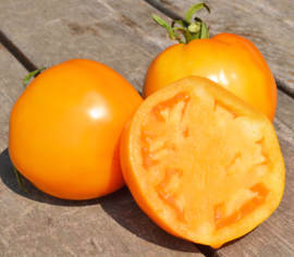 Tomate standard Jubilee Biologique (Semences)