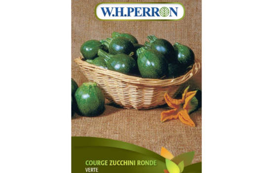 Courge Zucchini Rond Vert (Semences)
